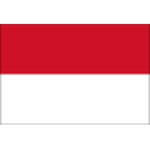 Team Indonesia